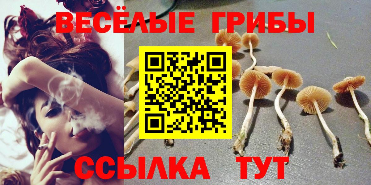 Галлюциногенные грибы мицелий Карачаевск