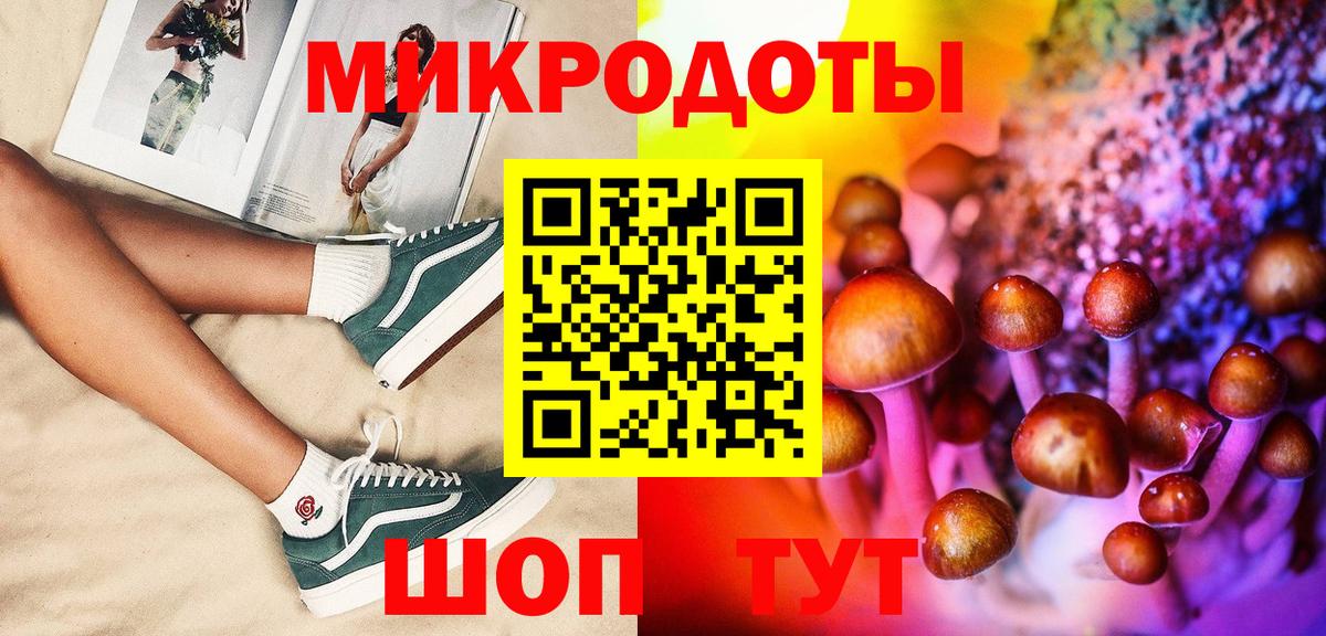 Карачаевск  Галлюциногенные грибы Magic Shrooms  как найти закладки  Галлюциногенные грибы Magic Shrooms  Вход с VPN 