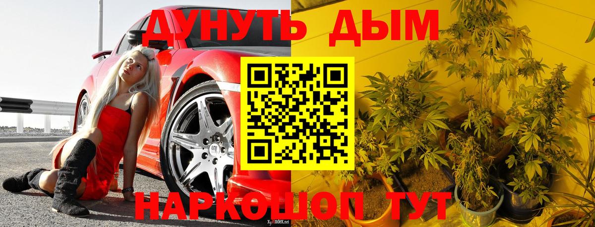 Карачаевск  Бошки Шишки индика  Вход с VPN  Каннабис SATIVA & INDICA  Каннабис семена 